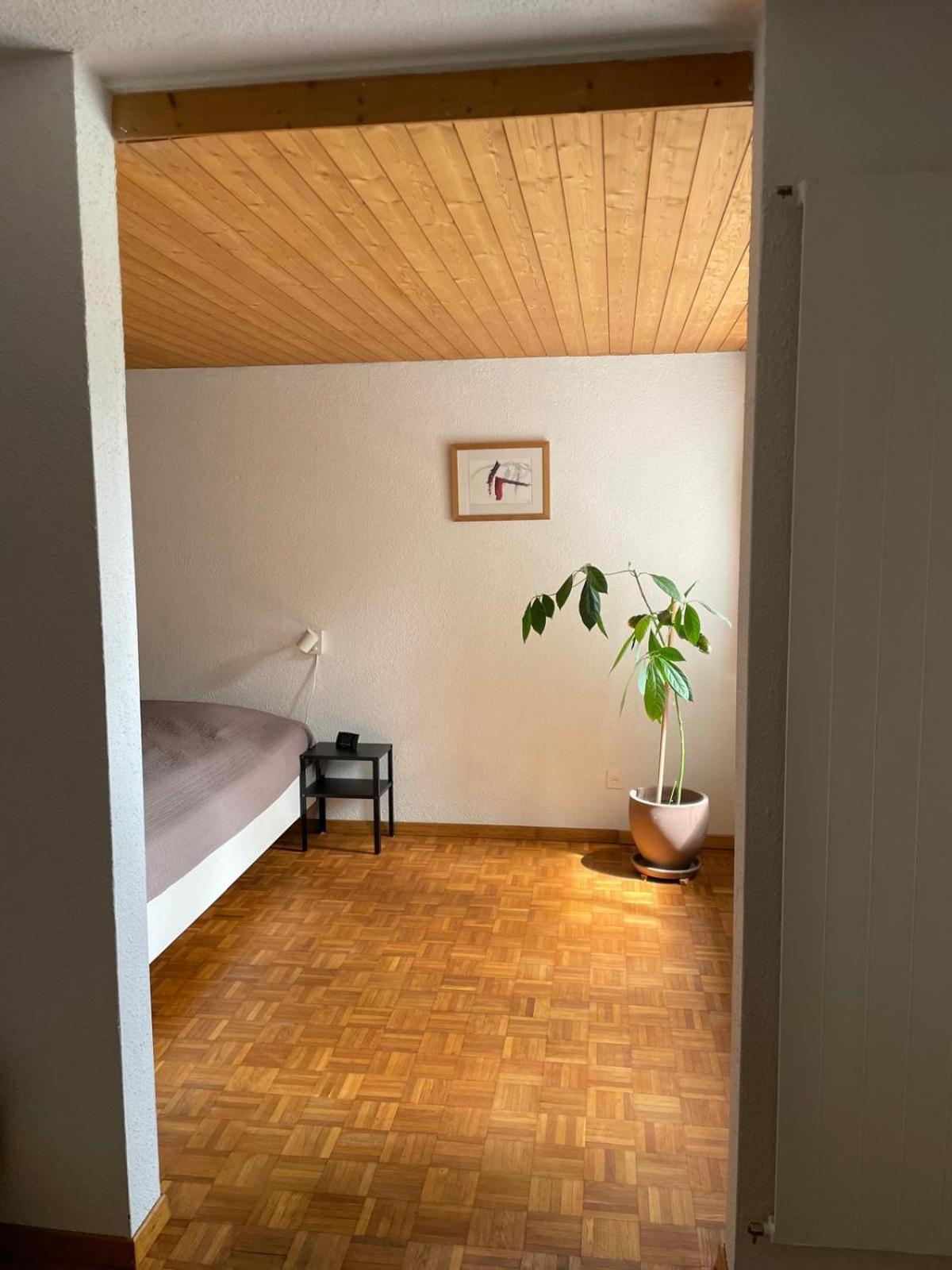 2.5 Zimmerwohnung, Pinut Trin Ngoại thất bức ảnh